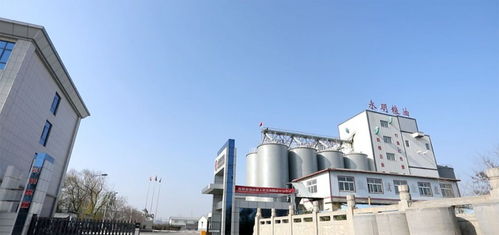 山東永明糧油擬在魯西南建設大型多功能面粉廠，助力區域農業經濟高質量發展
