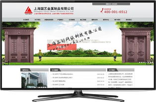 專業(yè)網(wǎng)絡(luò)技術(shù)服務(wù) 松江網(wǎng)站建設(shè)、制作與設(shè)計解決方案